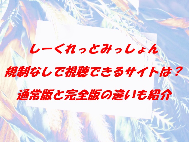 しーくれっとみっしょん　規制なし